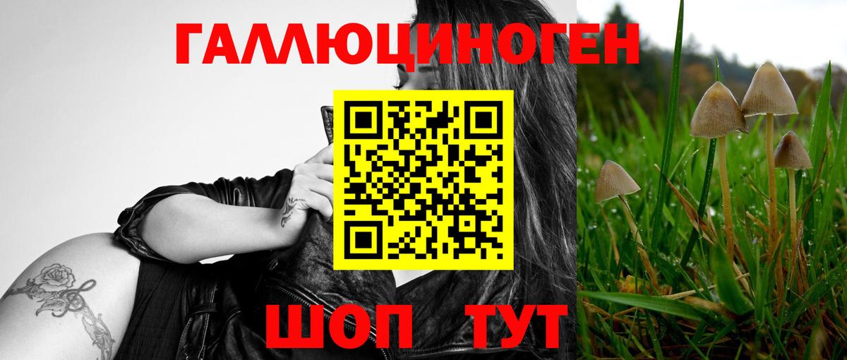 Псилоцибиновые грибы прущие грибы  Вход с VPN  Заводоуковск 